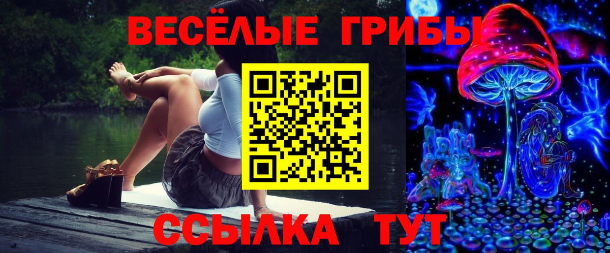 где продают   Галлюциногенные грибы MAGIC MUSHROOMS  Вход с VPN  Псилоцибиновые грибы прущие грибы  Долгопрудный 