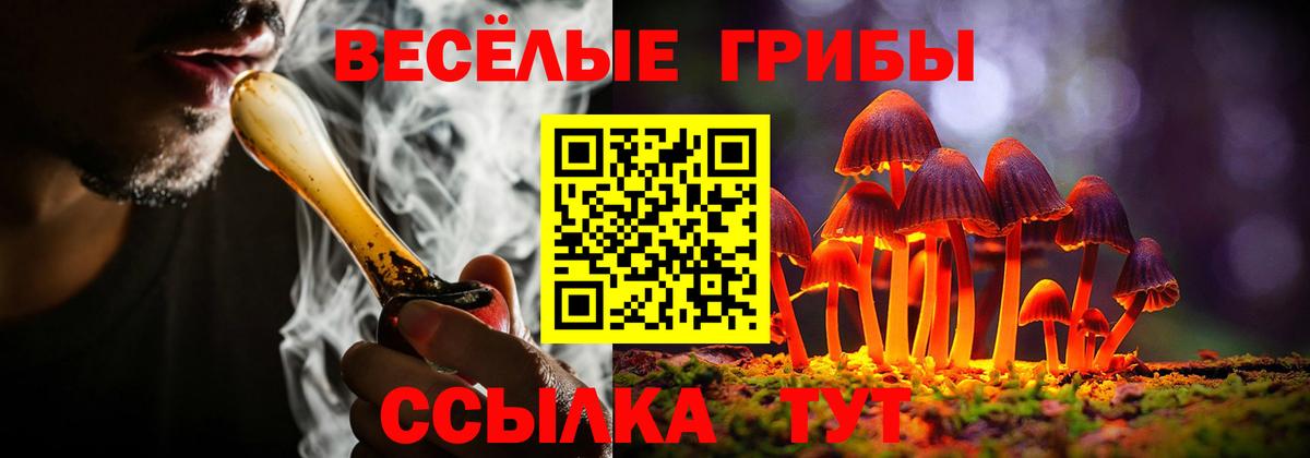 Галлюциногенные грибы MAGIC MUSHROOMS Долгопрудный